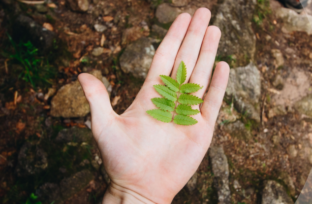 Dossier RSE – Engager mon entreprise vers un modèle durable avec l’économie circulaire