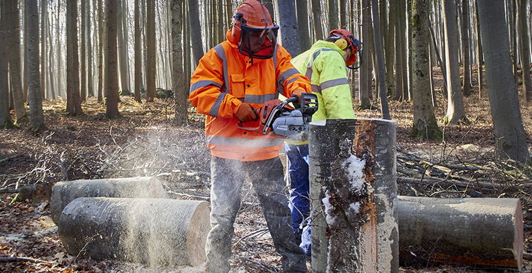 Sélection Forestier