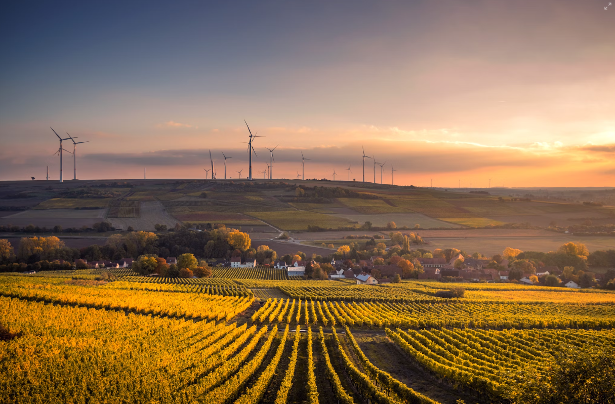 En route pour décarboner et mieux consommer !