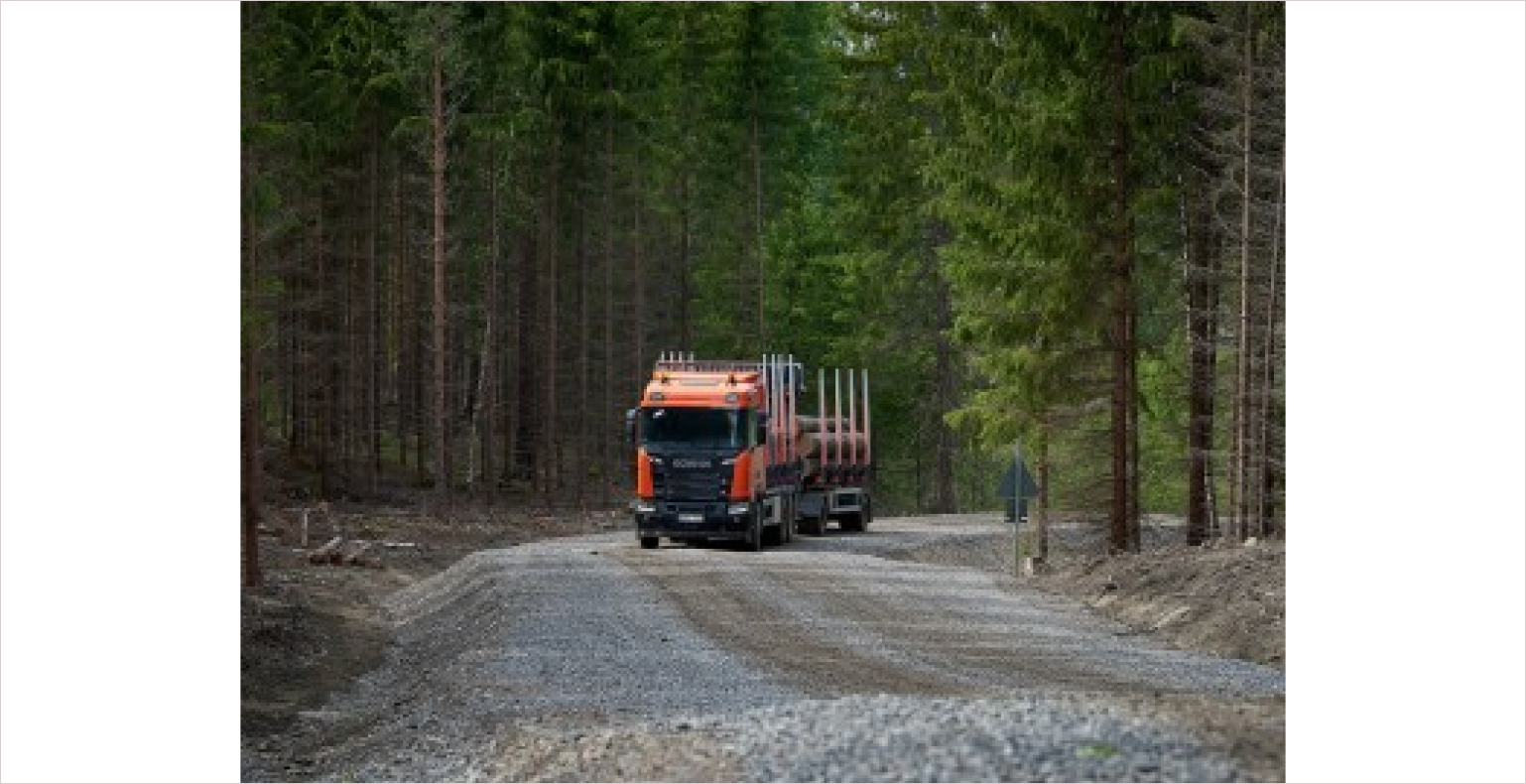 Grumier et exploitation forestière