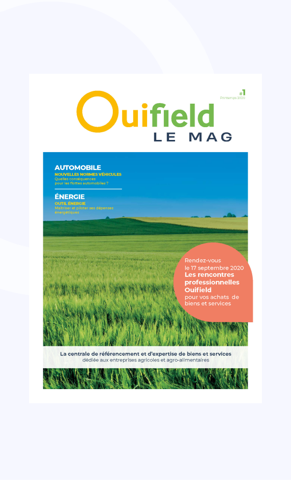 Ouifield, le mag #1