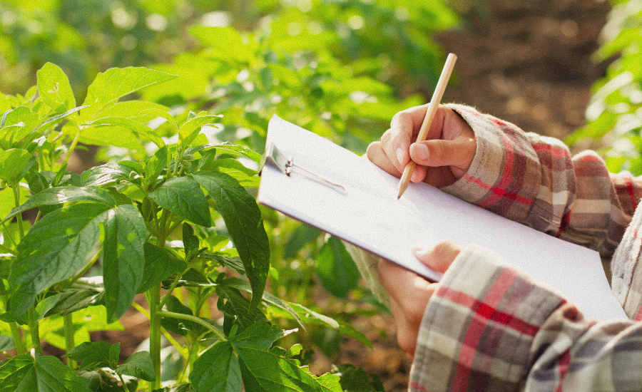 Coordonner mon projet Agri/Agro