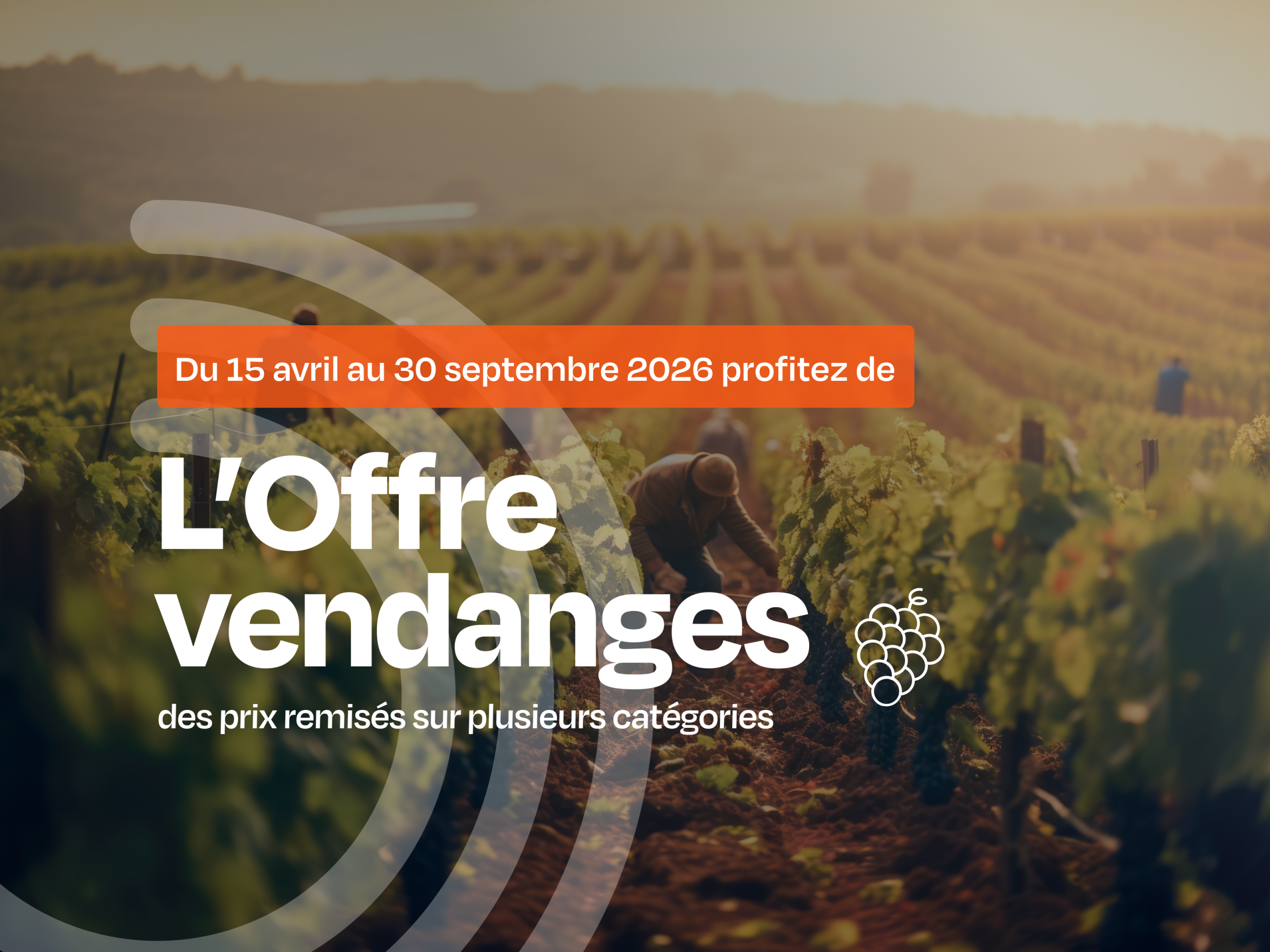 Offres vendanges